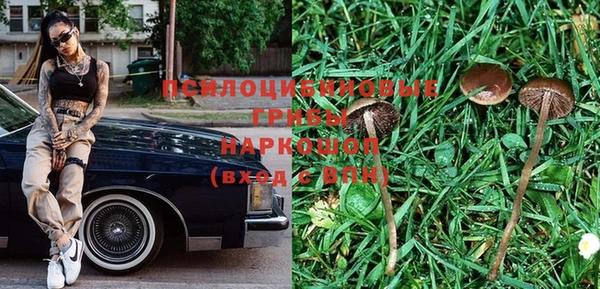 мяу мяу мука Балахна