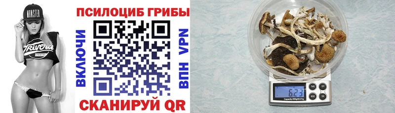 МЕГА онион  Горно-Алтайск  Галлюциногенные грибы ЛСД  где продают наркотики 