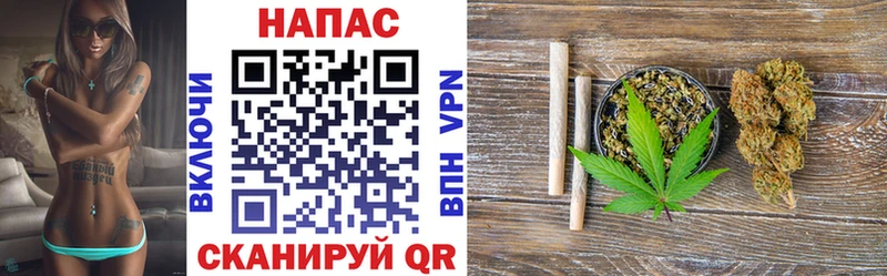 Шишки марихуана план Горно-Алтайск
